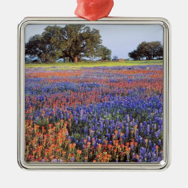 Adorno Metálico EE.UU., Texas, Llano. Bluebonnets y redbonnet (Frente)