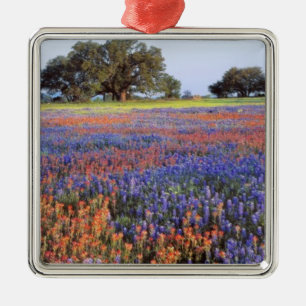 Adorno Metálico EE. UU., Texas, Llano. Bluebonnets y redbonnets