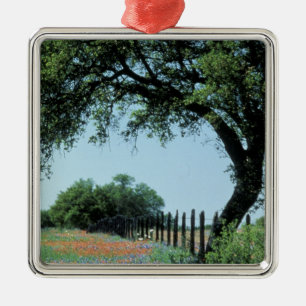 Adorno Metálico EE. UU., Texas, Texas Hill Country Paintbrush y