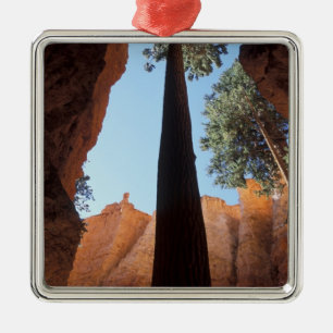 Adorno Metálico EE. UU., Utah, Parque Nacional Bryce Canyon. Alto