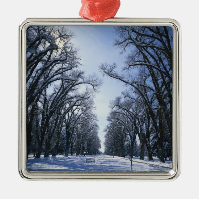 Adorno Metálico EE.UU., Utah, Salt Lake City, Liberty Park, (Frente)