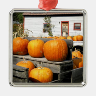 Adorno Metálico EE.UU., Vermont.Calabazas