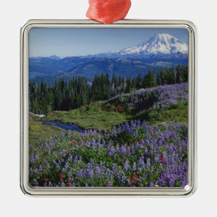 Adorno Metálico EE. UU., Washington Mt. Adams Wilderness, Praderas