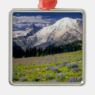 Adorno Metálico EE. UU., Washington, Parque Nacional Mt. Rainier.