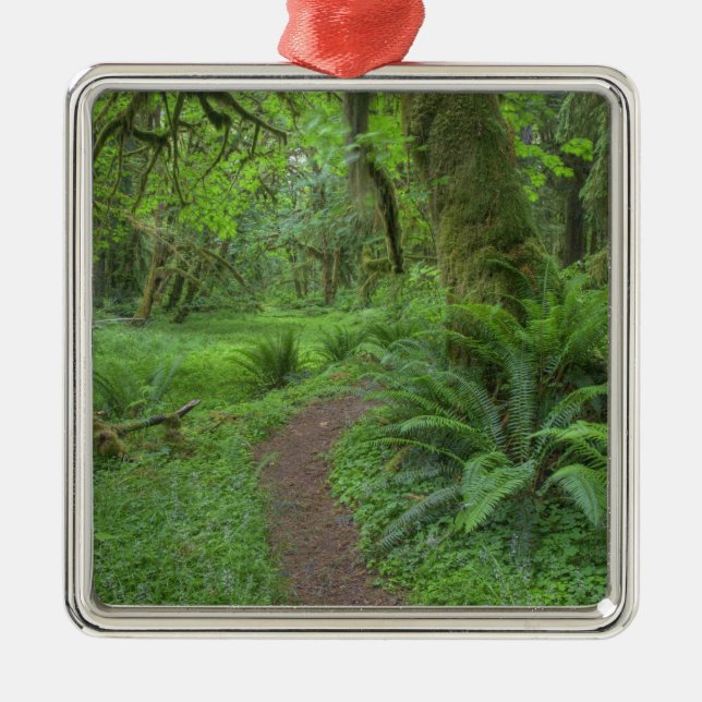 Adorno Metálico EE.UU., Washington, Parque Nacional Olímpico, (Frente)