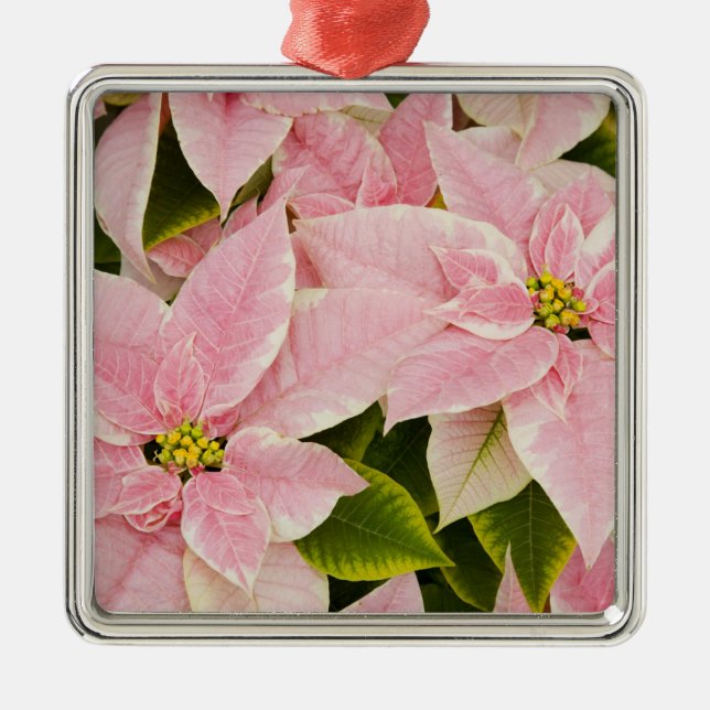 Adorno Metálico EE.UU., Washington, Woodinville, la guardería de M (Frente)