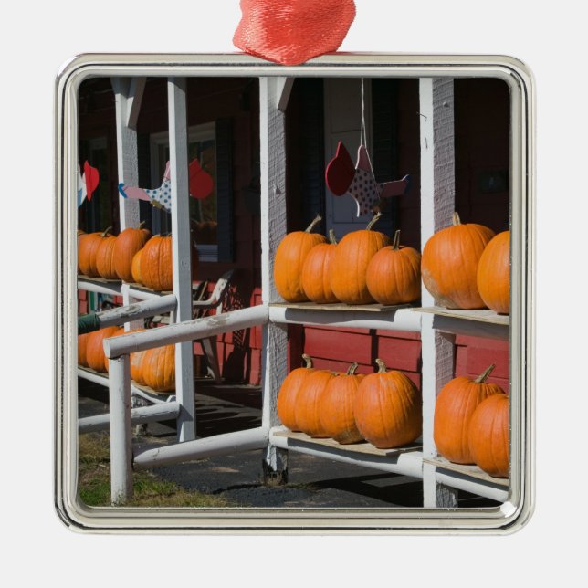 Adorno Metálico EE.UU., WISCONSIN, Washington burn: Lago Superior, (Frente)