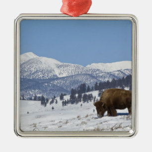 Adorno Metálico EE. UU., WY, Parque Nacional Yellowstone, Bisonte