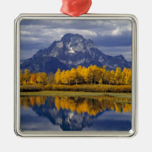 Adorno Metálico EE. UU., Wyoming, Parque Nacional Grand Teton. Con