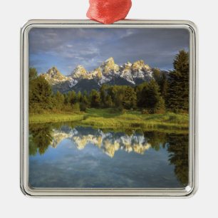 Adorno Metálico EE. UU., Wyoming, Parque Nacional Grand Teton. Gra