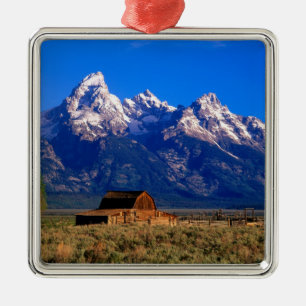 Adorno Metálico EE. UU., Wyoming, Parque Nacional Grand Teton, Mañ