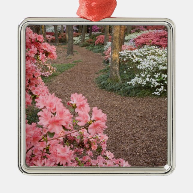 Adorno Metálico EEUU, Georgia, Montaña Pina. Un camino a través de (Frente)