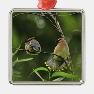 Adorno Metálico EEUU, Oregón, Portland. Cebada macho