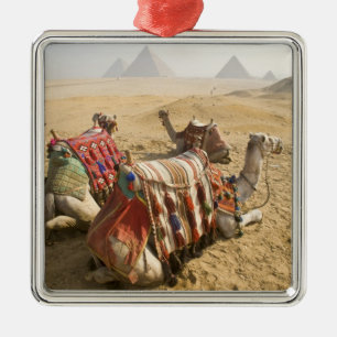 Adorno Metálico Egipto, El Cairo. Camellos descansando