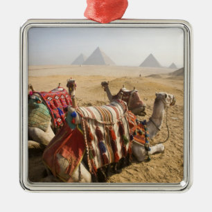 Adorno Metálico Egipto, El Cairo. Camellos descansando