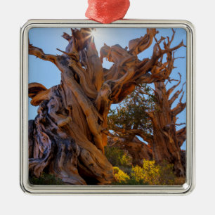 Adorno Metálico El árbol centinela