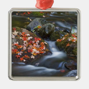 Adorno Metálico El arce rojo deja alfombras en las rocas