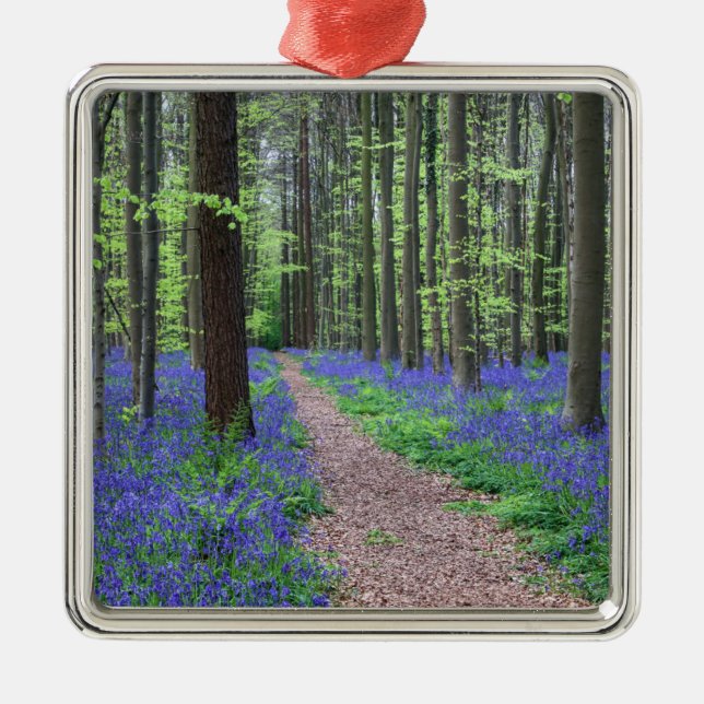 Adorno Metálico El bosque de Halle el | Halle, Bélgica (Frente)