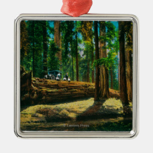 Adorno Metálico El bosque gigante de la clave auto, secoyas