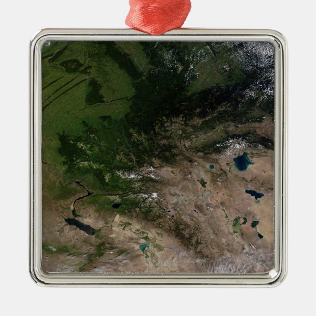 Adorno Metálico El cambio de vegetación (Frente)