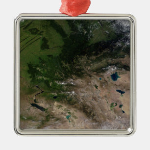 Adorno Metálico El cambio en la vegetación