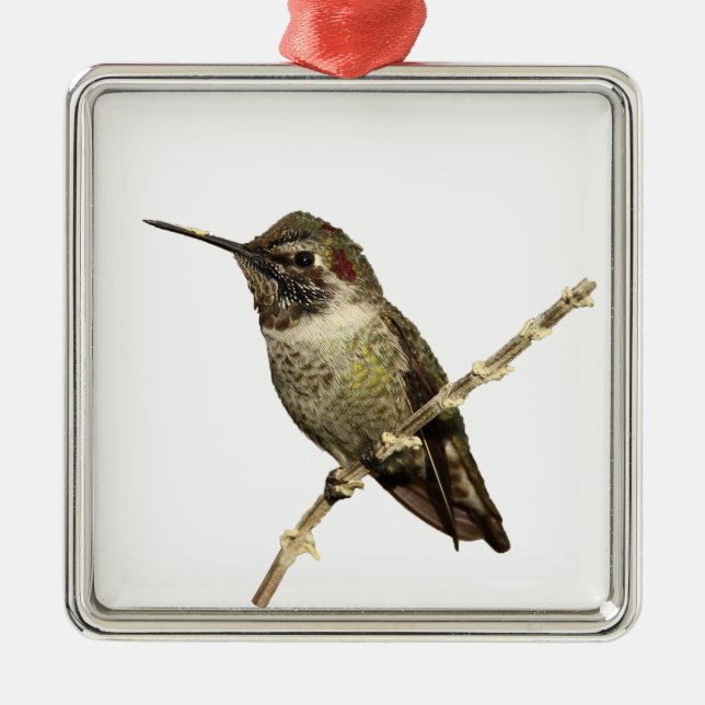 Adorno Metálico El colibrí de Ana (Frente)