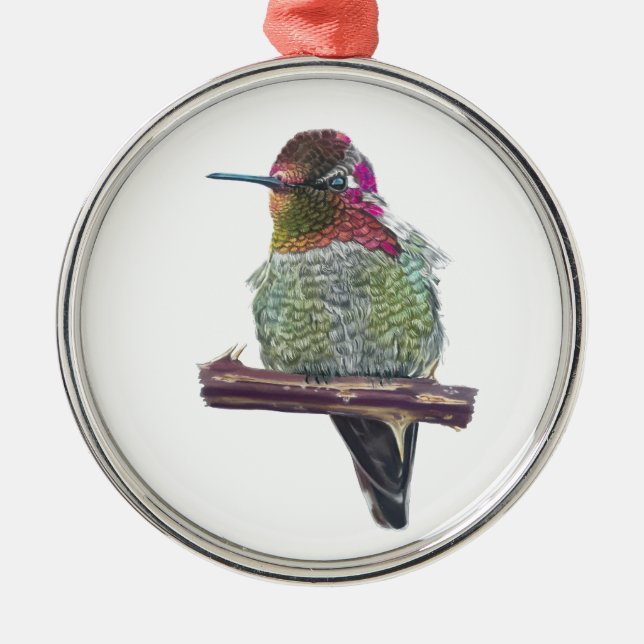 Adorno Metálico El colibrí de Anna (Frente)