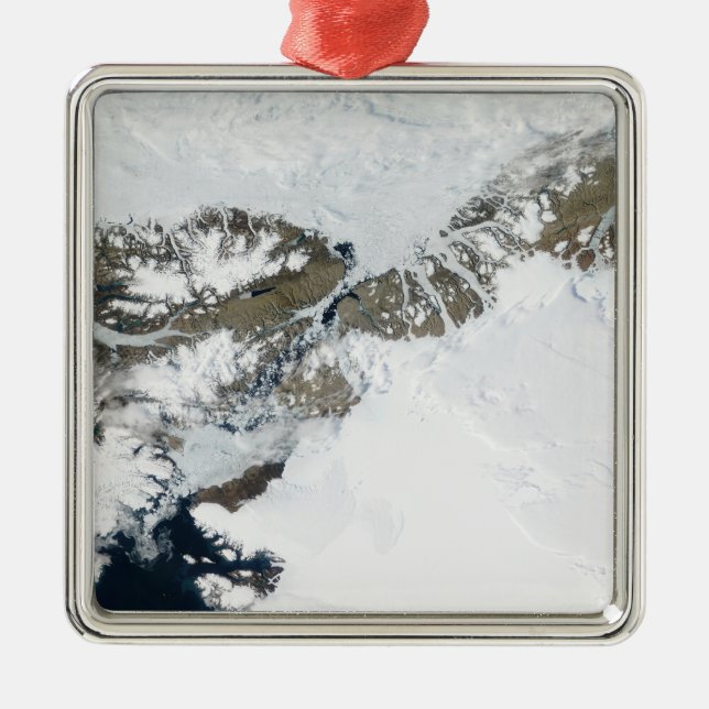 Adorno Metálico El deshielo del verano (Frente)