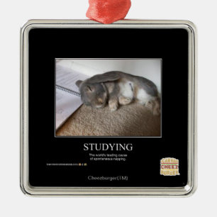 Adorno Metálico El estudiar