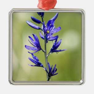 Adorno Metálico El florecimiento de un lirio en el condado de Vall