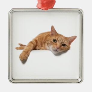 Adorno Metálico El gato del Naranja está caído