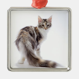 Adorno Metálico El gato Maine Coon