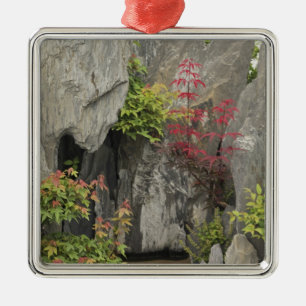 Adorno Metálico El jardín de la familia Bao, Huangshan, China.
