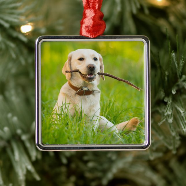 Adorno Metálico El Labrador Amarillo Juega A La Búsqueda Con Palo (Árbol)