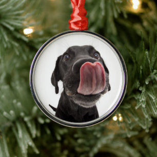 Adorno Metálico El labrador negro toca la nariz