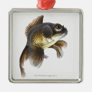 Adorno Metálico El negro amarra el goldfish (auratus del