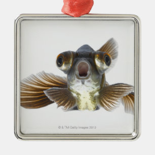 Adorno Metálico El negro amarra el goldfish (el auratus del