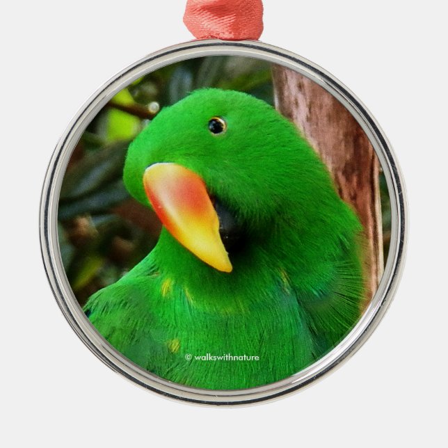 Adorno Metálico "El Orador Verde" Eclectus Parrot (Frente)