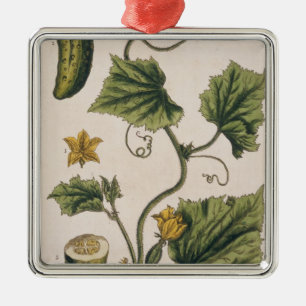 Adorno Metálico El pepino del jardín, platea 4 "de un herbario