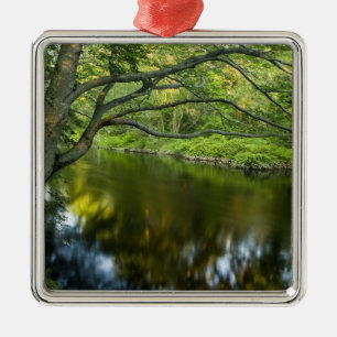 Adorno Metálico El río Taunton en Bridgewater, 2