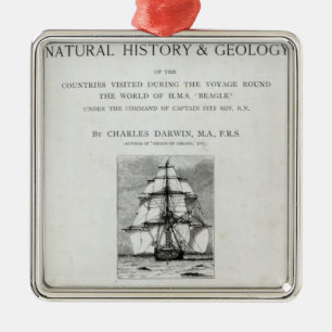 Adorno Metálico El viaje del beagle