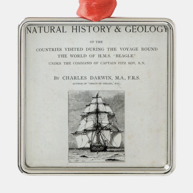 Adorno Metálico El viaje del beagle (Frente)