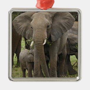 Adorno Metálico Elefante africano   Manada