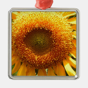 Adorno Metálico Elegante foto de girasol