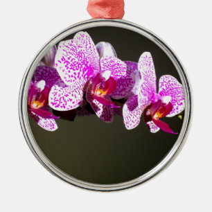 Adorno Metálico Elegantes orquídeas rosa floral tropical rosa