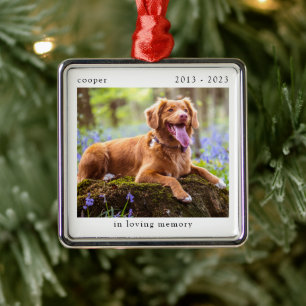 Adorno Metálico En homenaje a los Mascotas de la foto de amor por