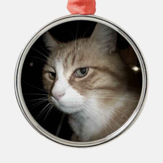 Adorno Metálico ¿En qué está pensando? (Frente)