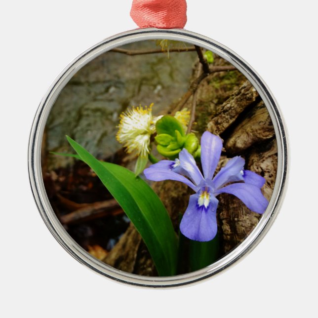 Adorno Metálico Enanos enanos Iris flor azul morada blanca (Frente)