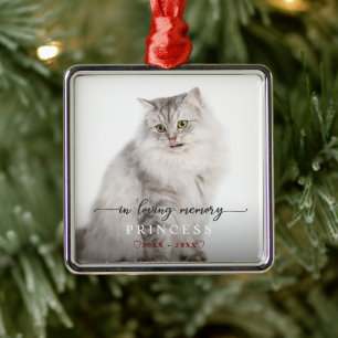 Adorno Metálico Encantador En El Monograma De La Foto Del Gato De 