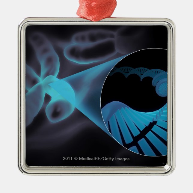 Adorno Metálico Enfoque adentro de un filamento de la DNA en un (Frente)